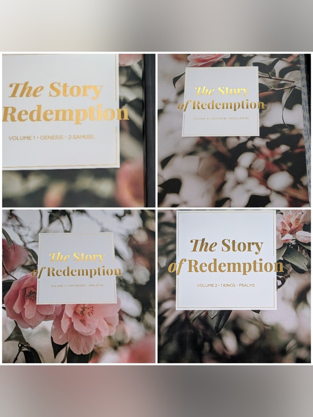 Daily Grace Co Story Of Redemption Vol 1-4 New